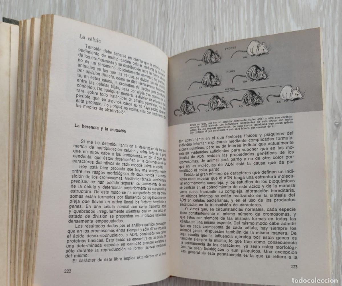Libros de segunda mano: Libro. Historia Natural. A&ntilde;o 1974. Editorial Sopena. - Foto 6