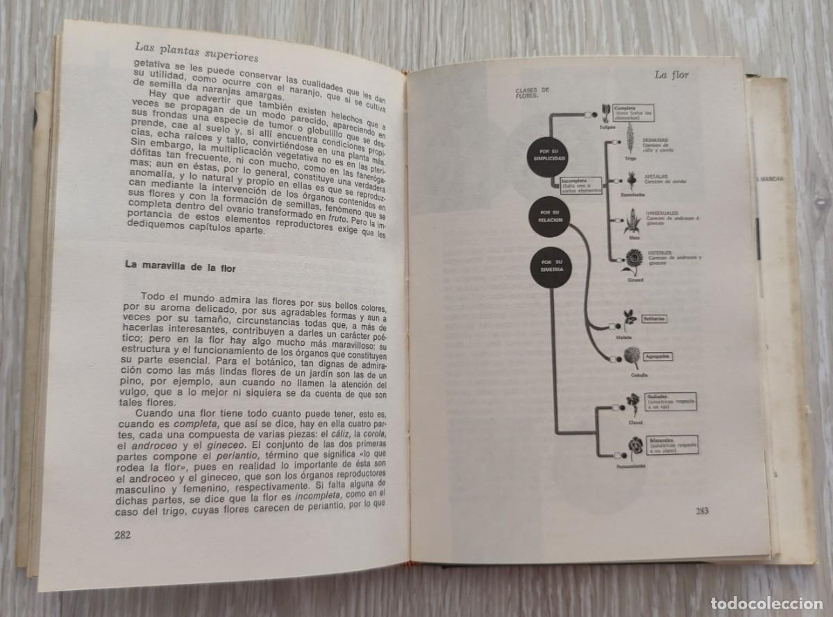 Libros de segunda mano: Libro. Historia Natural. A&ntilde;o 1974. Editorial Sopena. - Foto 7