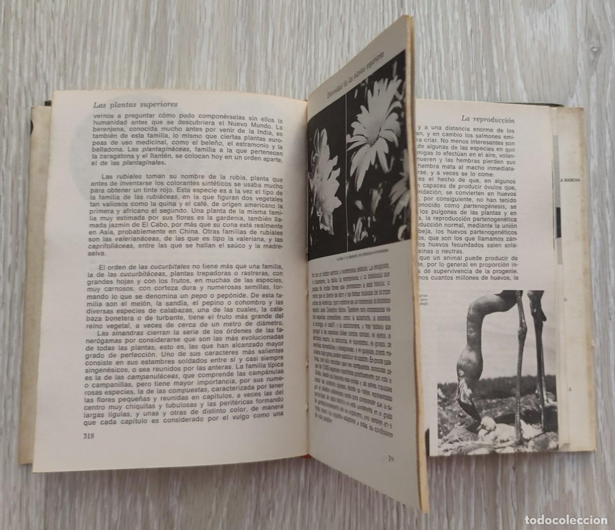 Libros de segunda mano: Libro. Historia Natural. A&ntilde;o 1974. Editorial Sopena. - Foto 8