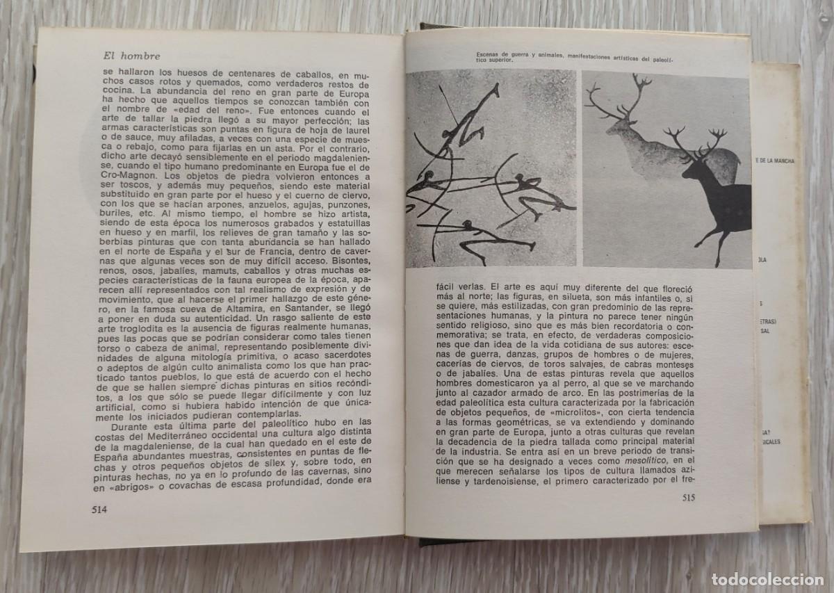 Libros de segunda mano: Libro. Historia Natural. A&ntilde;o 1974. Editorial Sopena. - Foto 9
