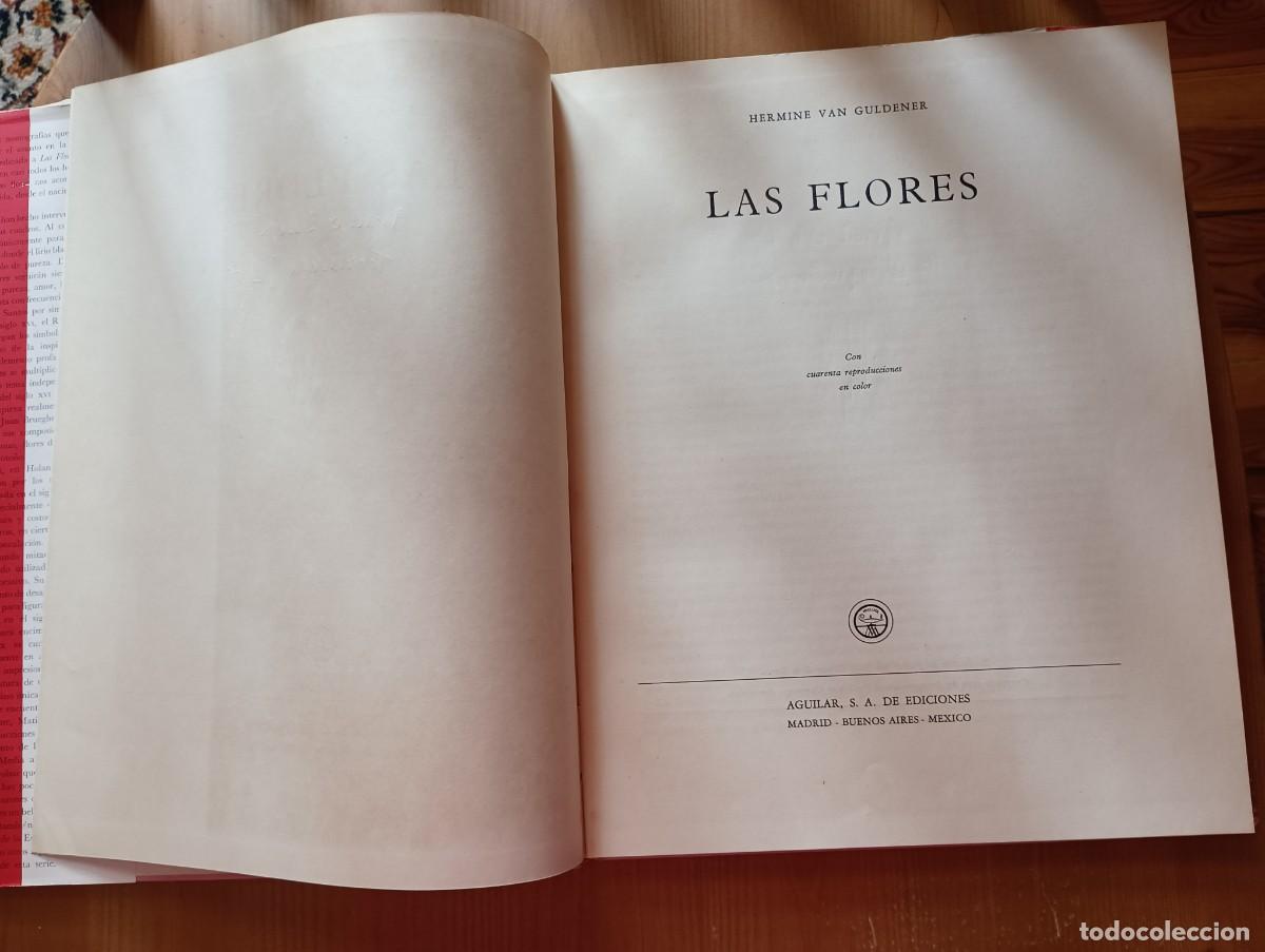 Libros de segunda mano: HERMINE VAN GULDENER. LAS FLORES. TEMAS EN LA PINTURA - Foto 3