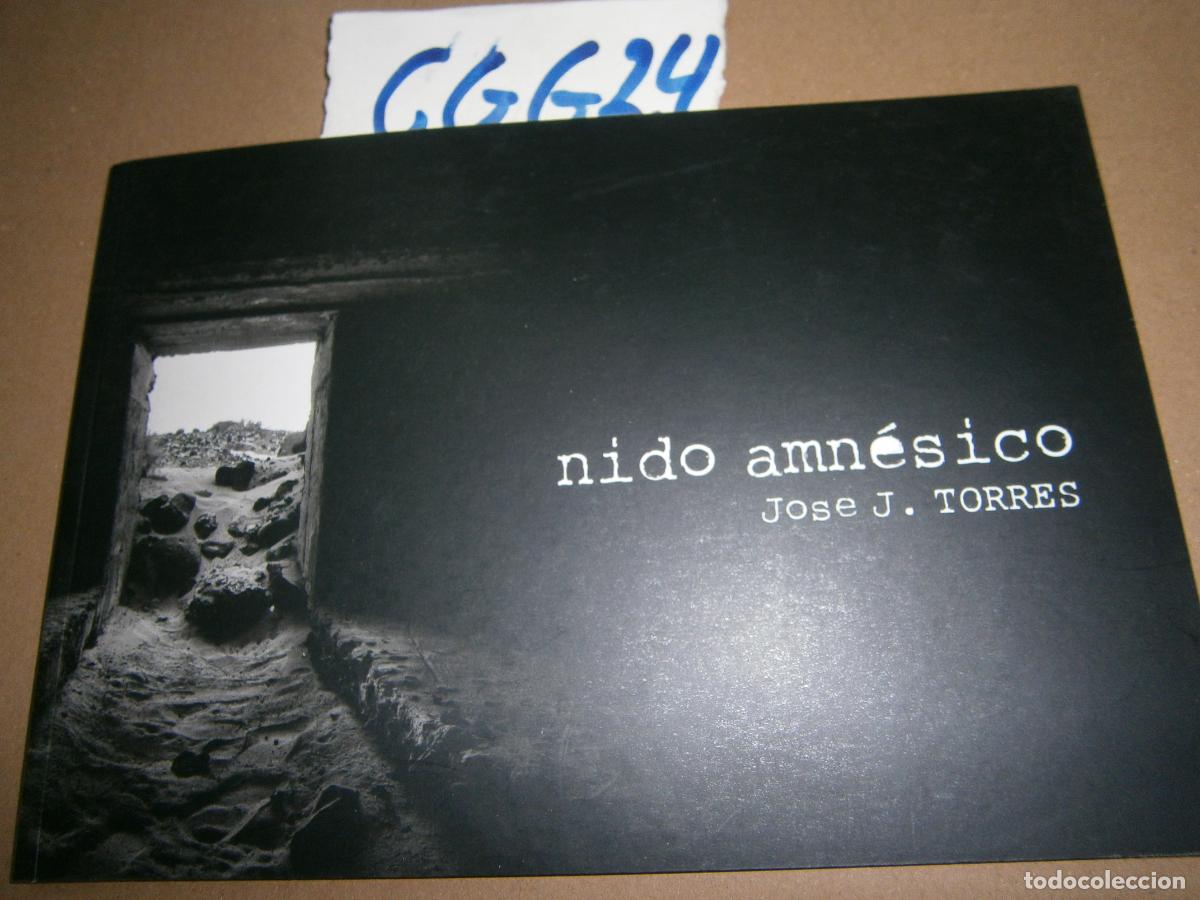 Libros de segunda mano: NIDO AMNESICO - JOSE J. TORRES - Foto 1