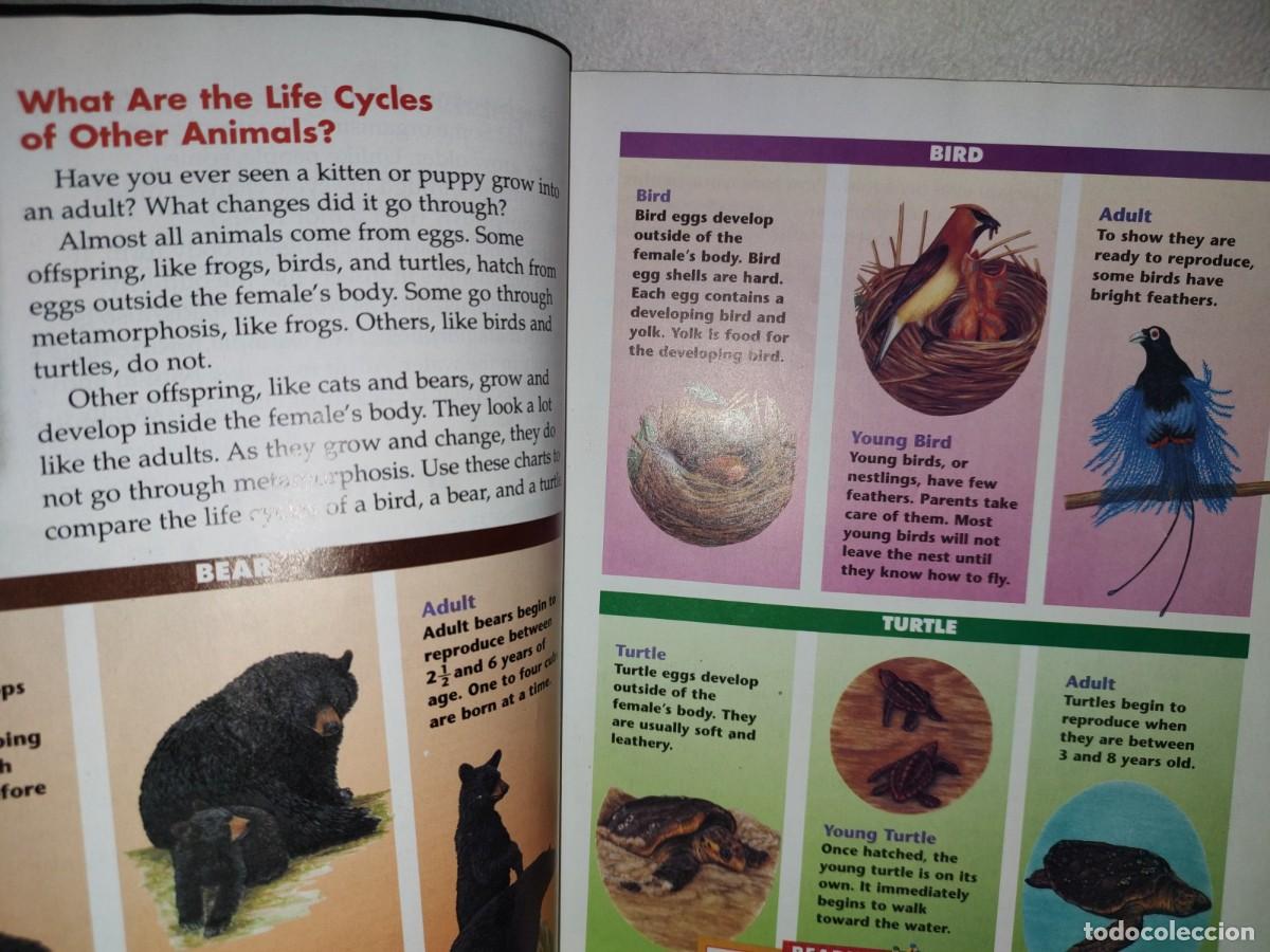 Libros de segunda mano: 123- LIVING THINGS. SCIENCE. MCGRAW-HILL - RICHARD MOYER - 2000 - Foto 7
