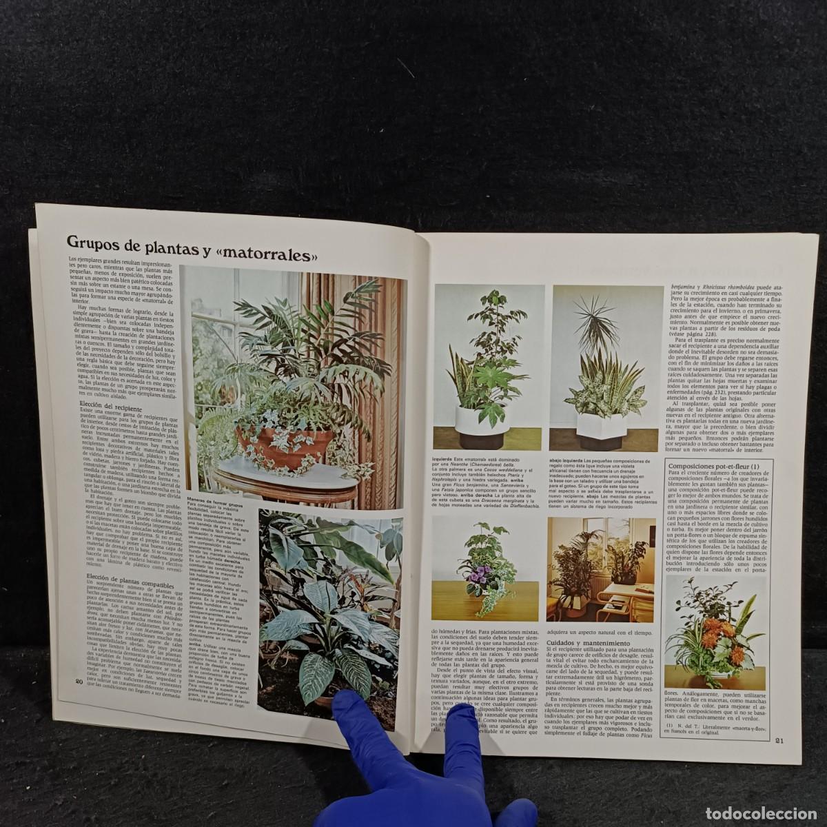 Libros de segunda mano: EL JARD&Iacute;N EN CASA - EDITORIAL BLUME - 1977 / 684 - Foto 6