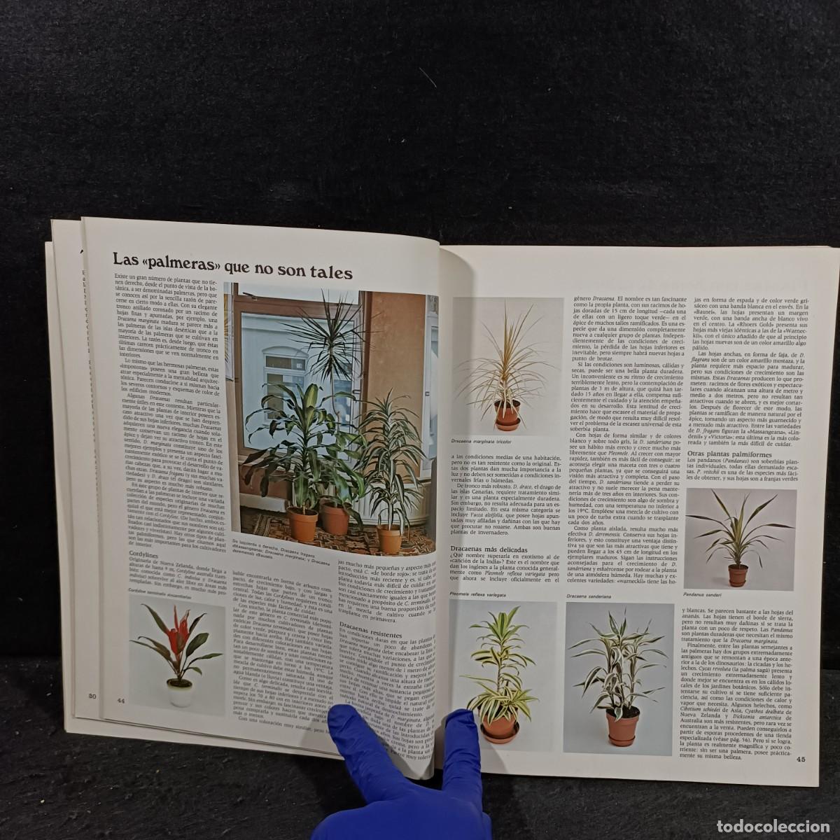 Libros de segunda mano: EL JARD&Iacute;N EN CASA - EDITORIAL BLUME - 1977 / 684 - Foto 7