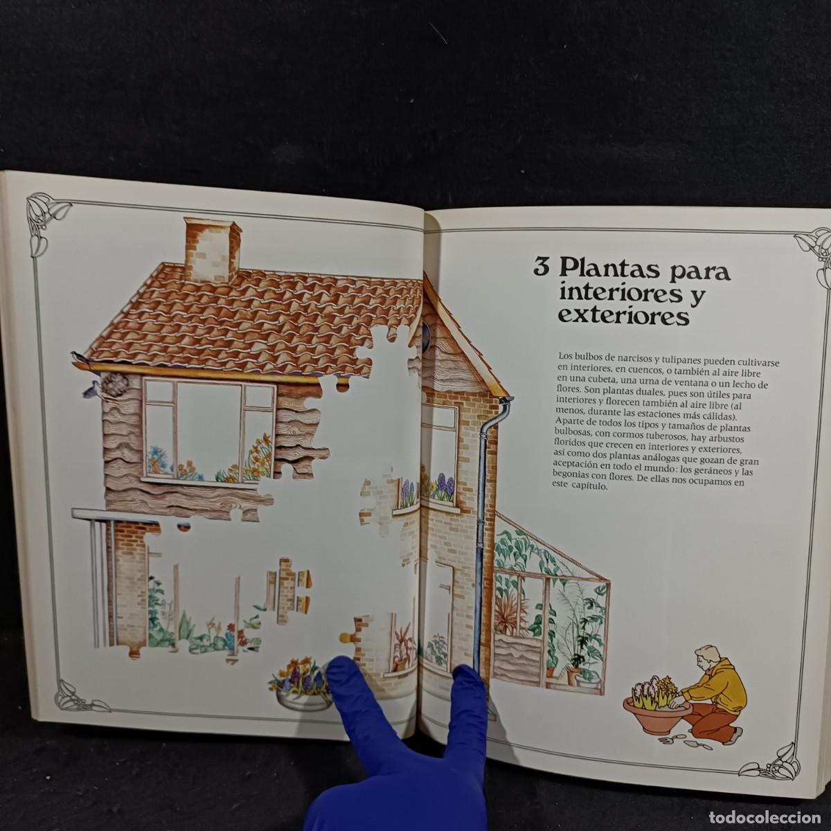 Libros de segunda mano: EL JARD&Iacute;N EN CASA - EDITORIAL BLUME - 1977 / 684 - Foto 8