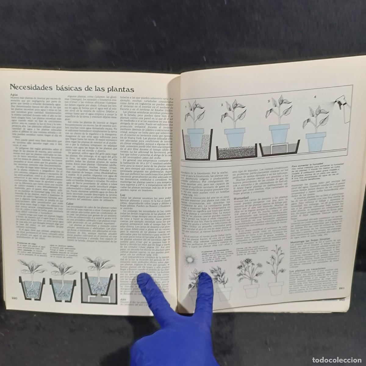 Libros de segunda mano: EL JARD&Iacute;N EN CASA - EDITORIAL BLUME - 1977 / 684 - Foto 9