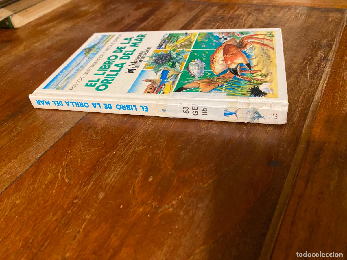 Libros de segunda mano: EL LIBRO DE LA ORILLA DEL MAR &ndash; PATRICK GEISTDOERFER Y NICOLE BARON &ndash; EDICIONES ALTEA - Foto 1