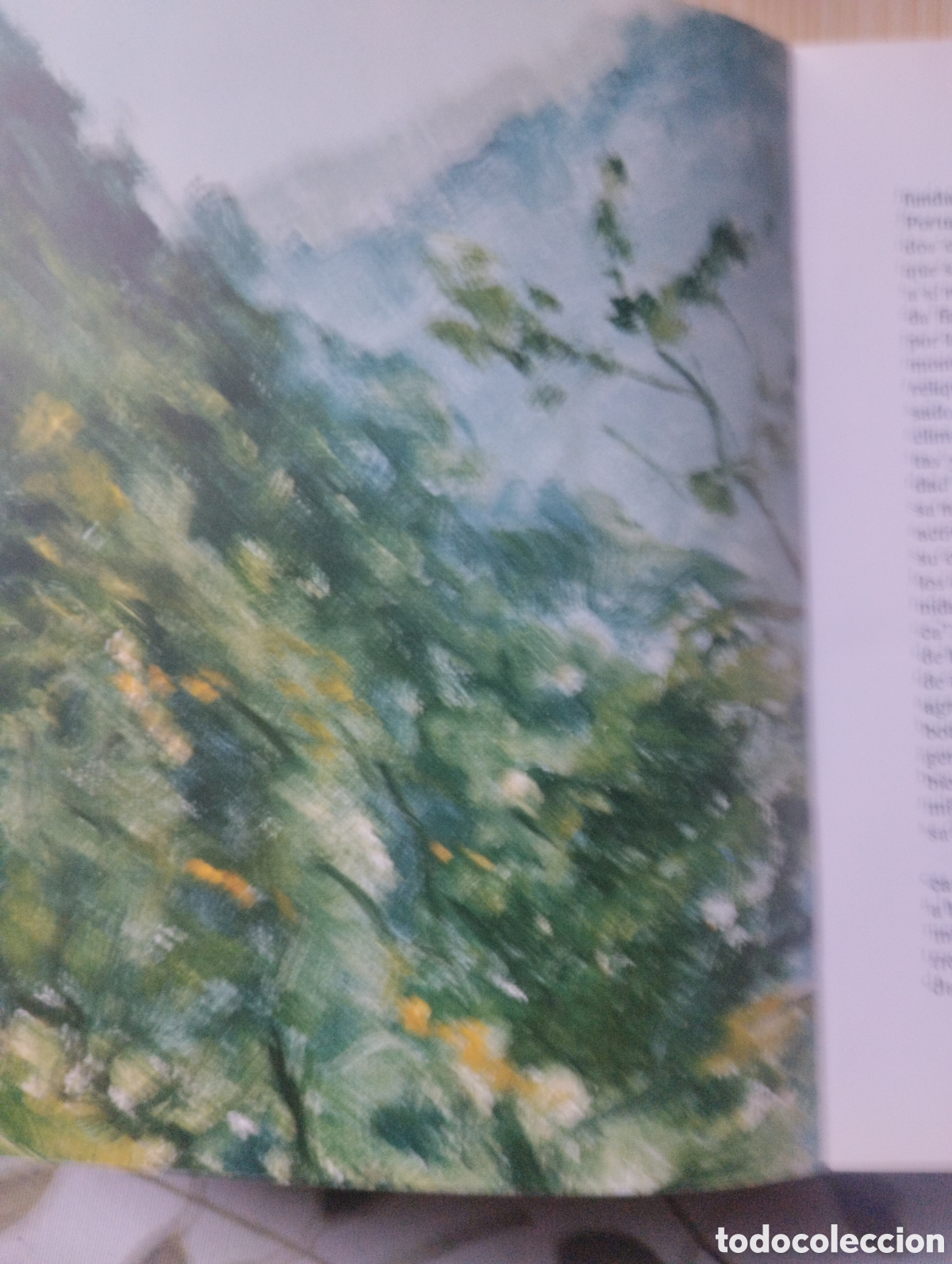 Libros de segunda mano: TIERRA A&Ntilde;ORADA (MEDITACIONES CAMPURRIANAS). - Foto 10