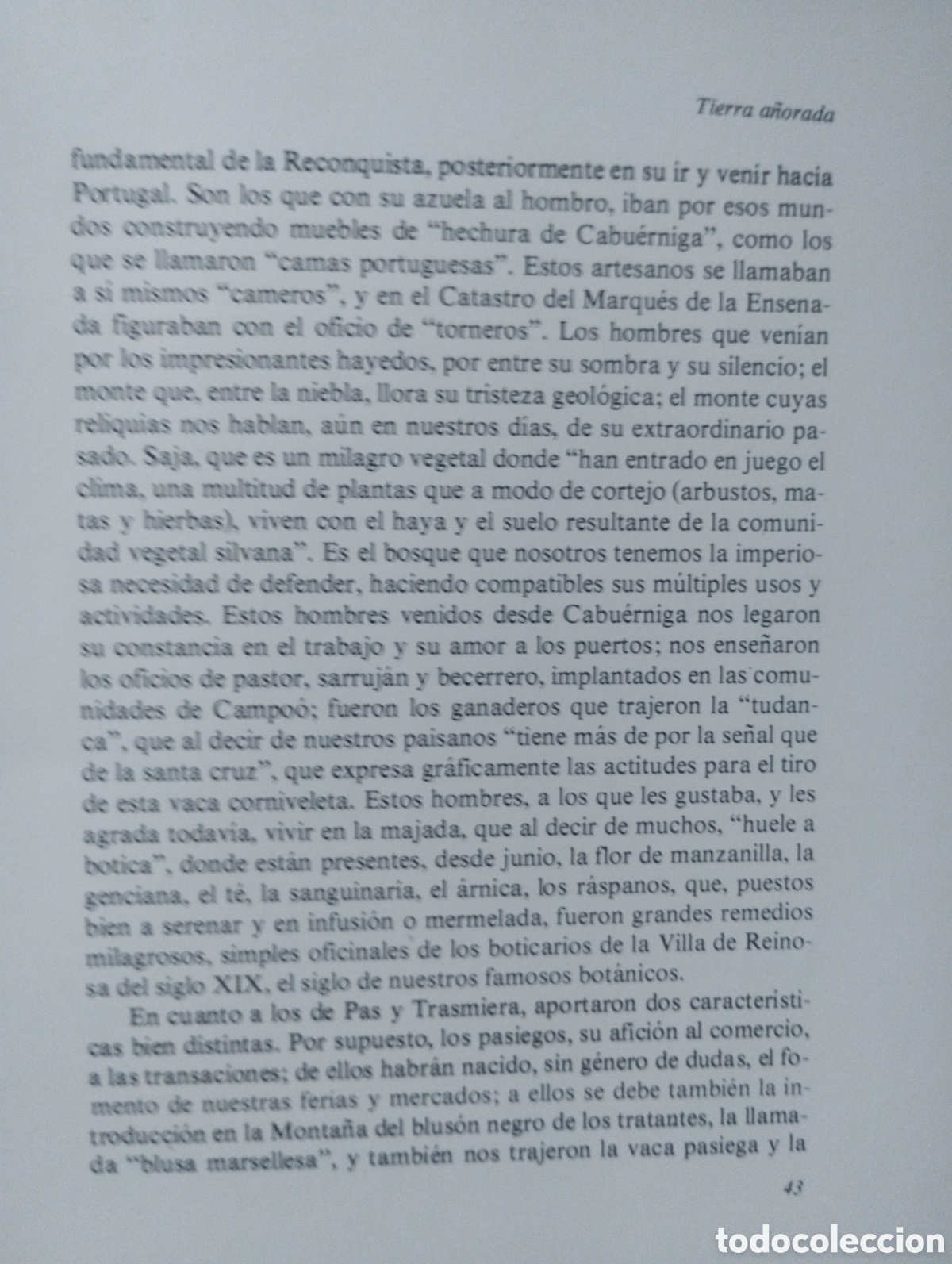 Libros de segunda mano: TIERRA A&Ntilde;ORADA (MEDITACIONES CAMPURRIANAS). - Foto 11