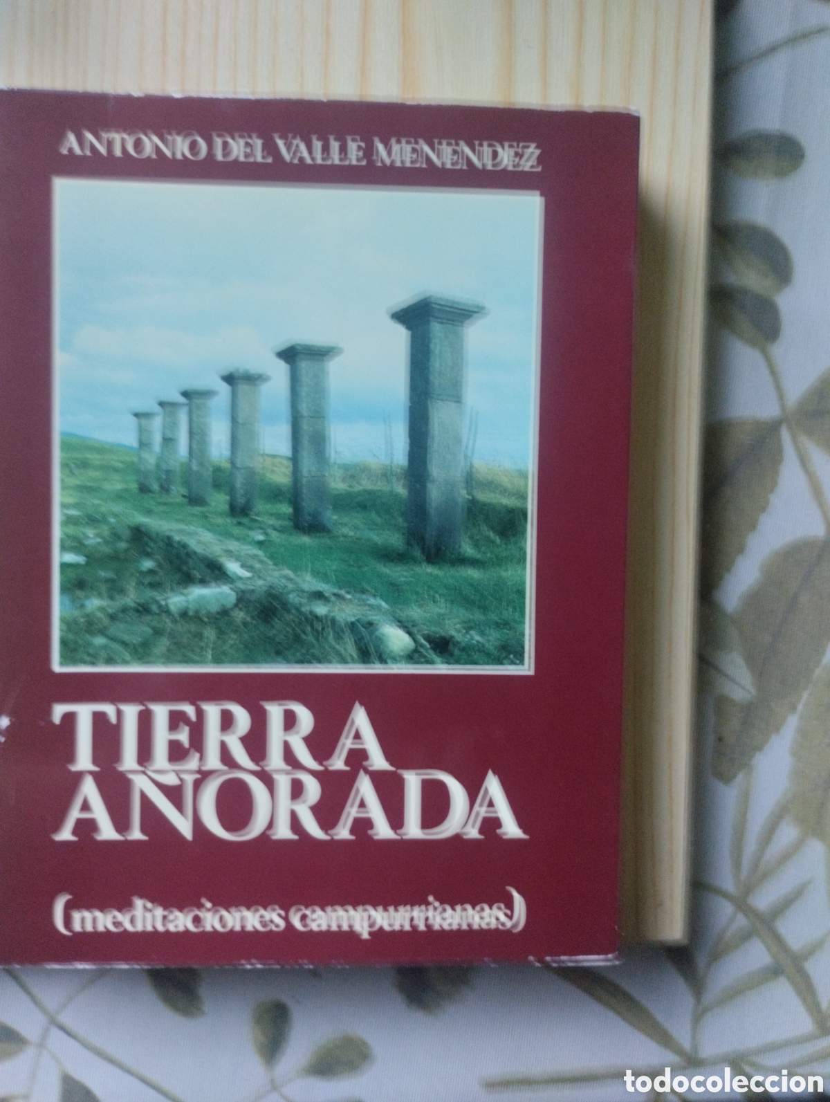 Libros de segunda mano: TIERRA A&Ntilde;ORADA (MEDITACIONES CAMPURRIANAS). - Foto 1
