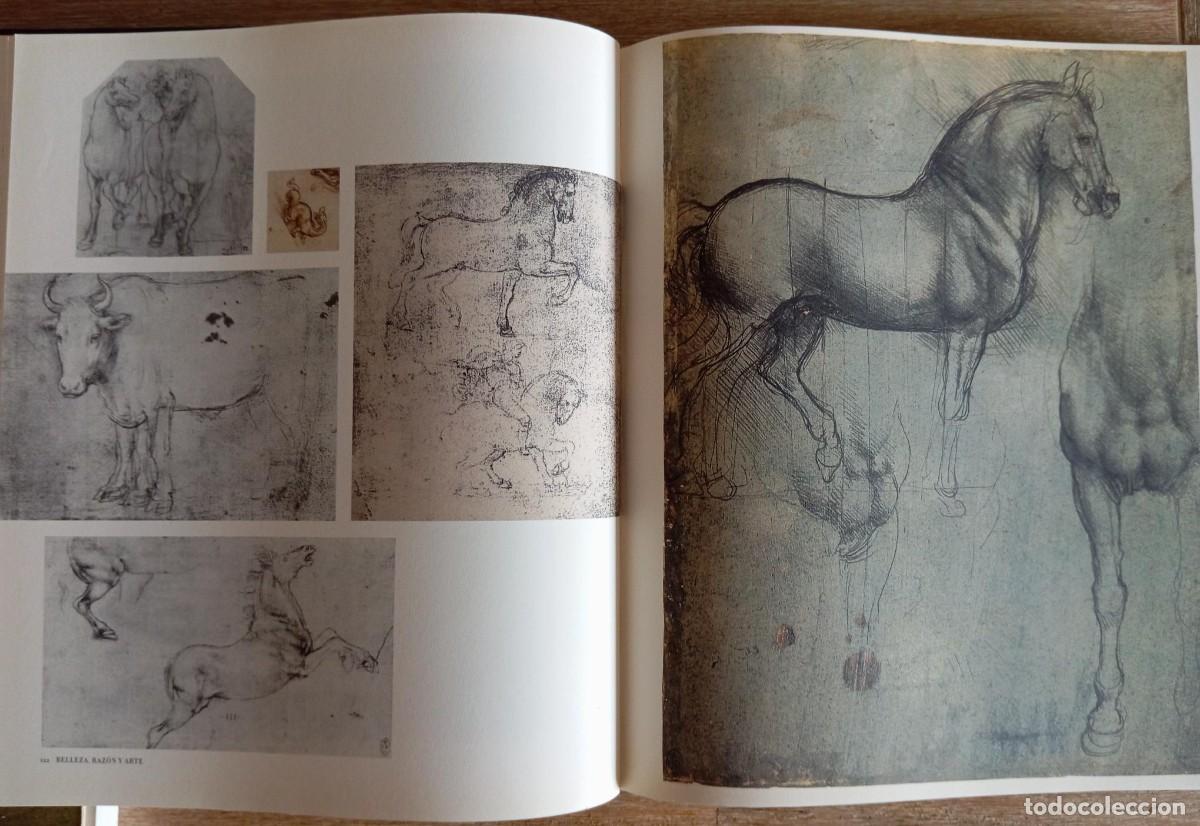 Libros de segunda mano: LEONARDO DA VINCI CUADERNOS - Foto 2