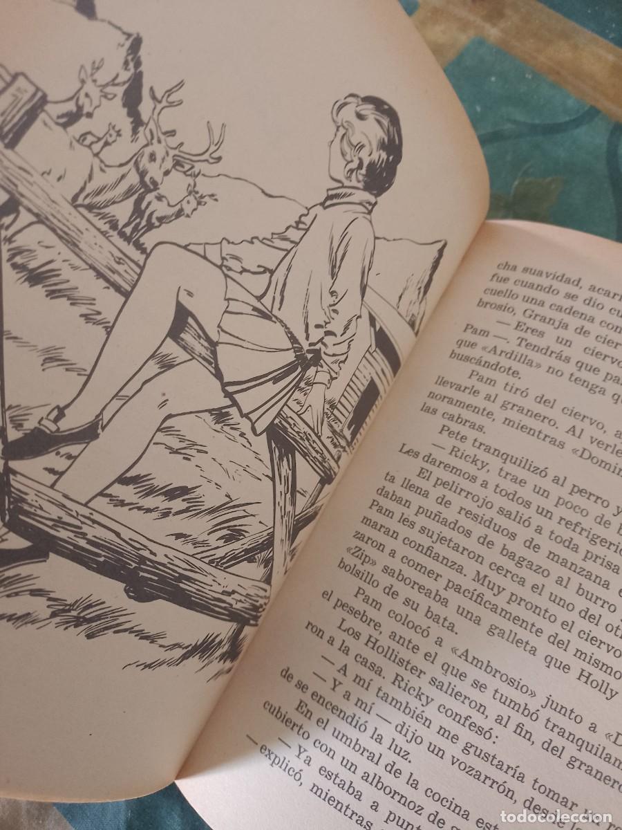 Libros de segunda mano: LOS HOLLISTER Y LA BRUJA DORADA - Foto 6