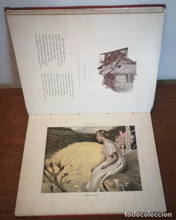 Libros de segunda mano: Doloras de Ram&oacute;n Campoamor - Foto 11