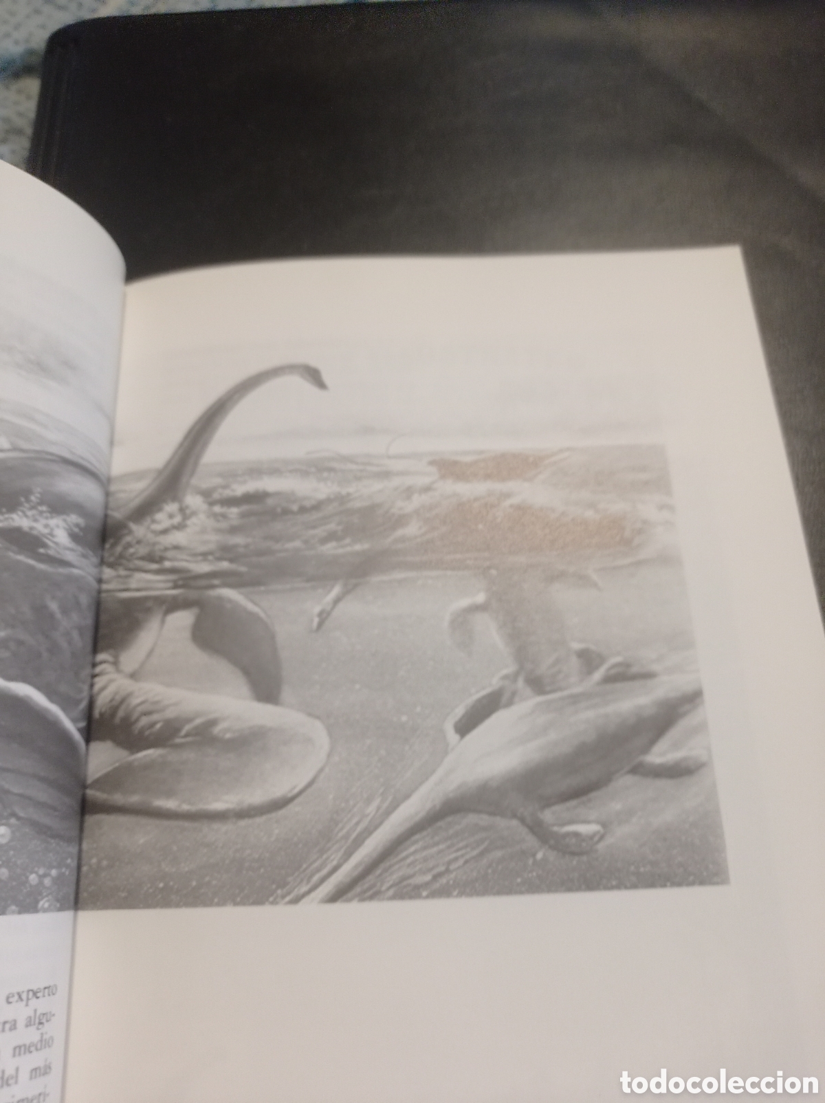 Libros de segunda mano: Animales fant&aacute;sticos - Foto 4