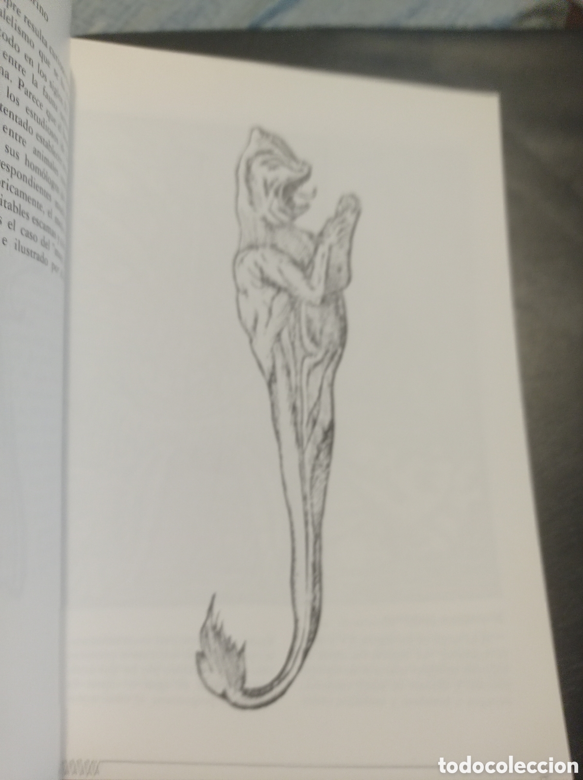 Libros de segunda mano: Animales fant&aacute;sticos - Foto 5