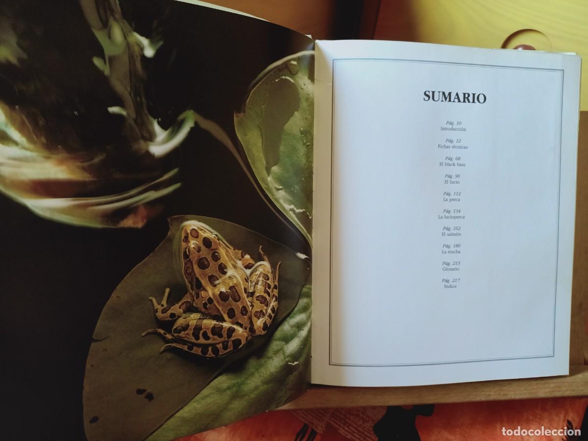 Libros de segunda mano: EL GRAN LIBRO DE LA PESCA. IBERLIBRO 2000 - Foto 6