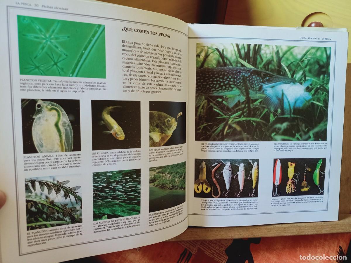 Libros de segunda mano: EL GRAN LIBRO DE LA PESCA. IBERLIBRO 2000 - Foto 7