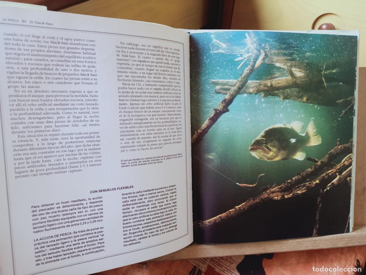 Libros de segunda mano: EL GRAN LIBRO DE LA PESCA. IBERLIBRO 2000 - Foto 10