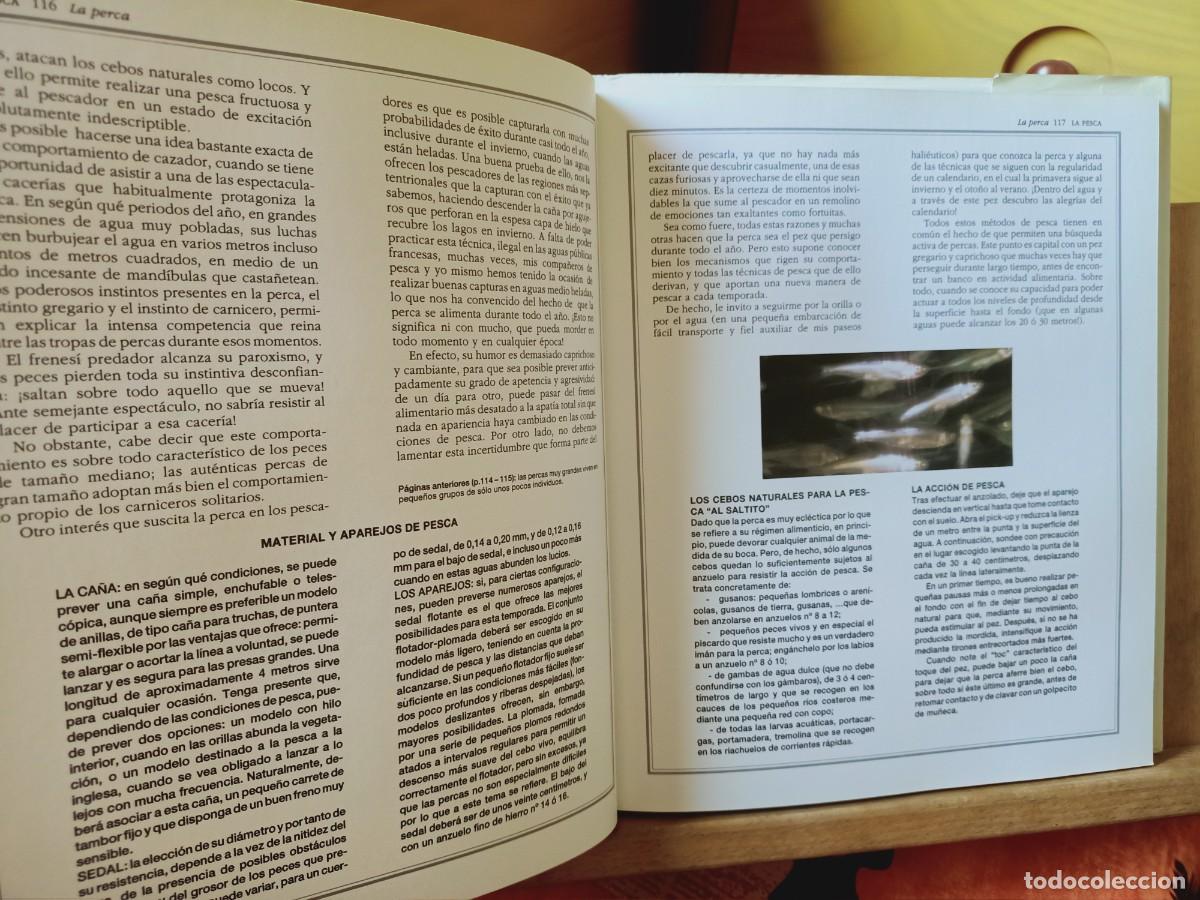 Libros de segunda mano: EL GRAN LIBRO DE LA PESCA. IBERLIBRO 2000 - Foto 12