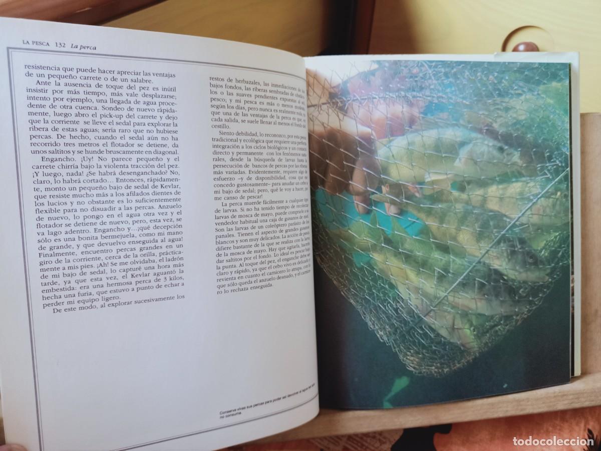 Libros de segunda mano: EL GRAN LIBRO DE LA PESCA. IBERLIBRO 2000 - Foto 13