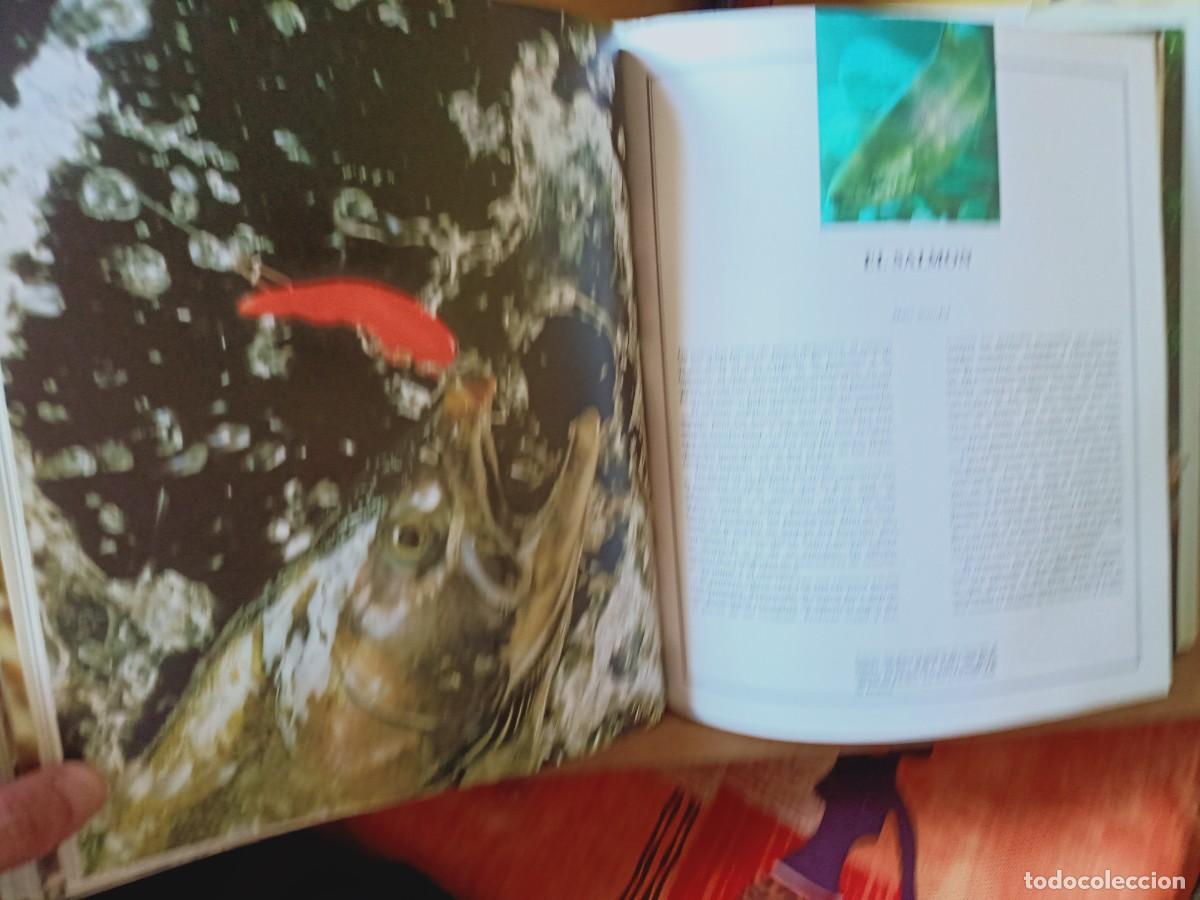 Libros de segunda mano: EL GRAN LIBRO DE LA PESCA. IBERLIBRO 2000 - Foto 14