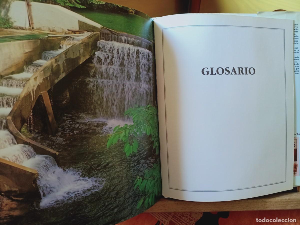 Libros de segunda mano: EL GRAN LIBRO DE LA PESCA. IBERLIBRO 2000 - Foto 16