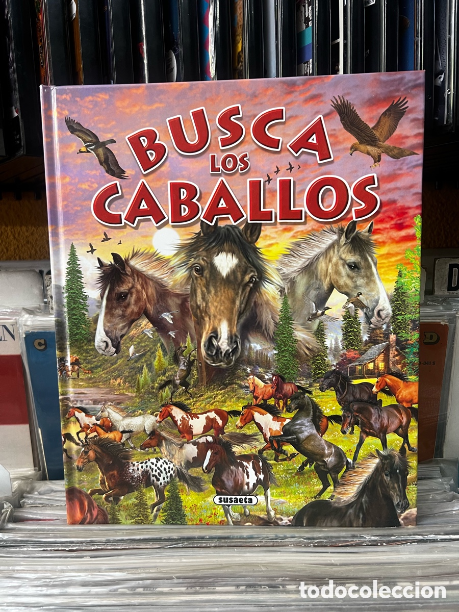Libros de segunda mano: Busca los caballos Susaeta - Foto 1