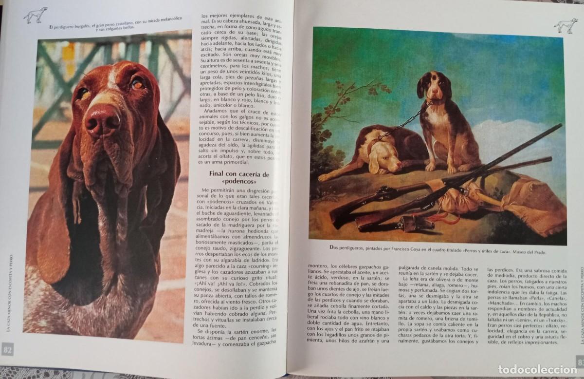Libros de segunda mano: HISTORIA DEL PERRO Y DEL GATO - NESTOR LUJAN - Foto 2