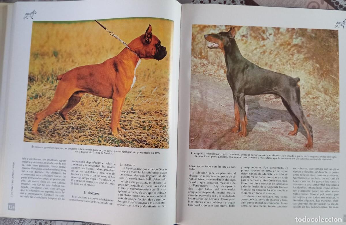 Libros de segunda mano: HISTORIA DEL PERRO Y DEL GATO - NESTOR LUJAN - Foto 3