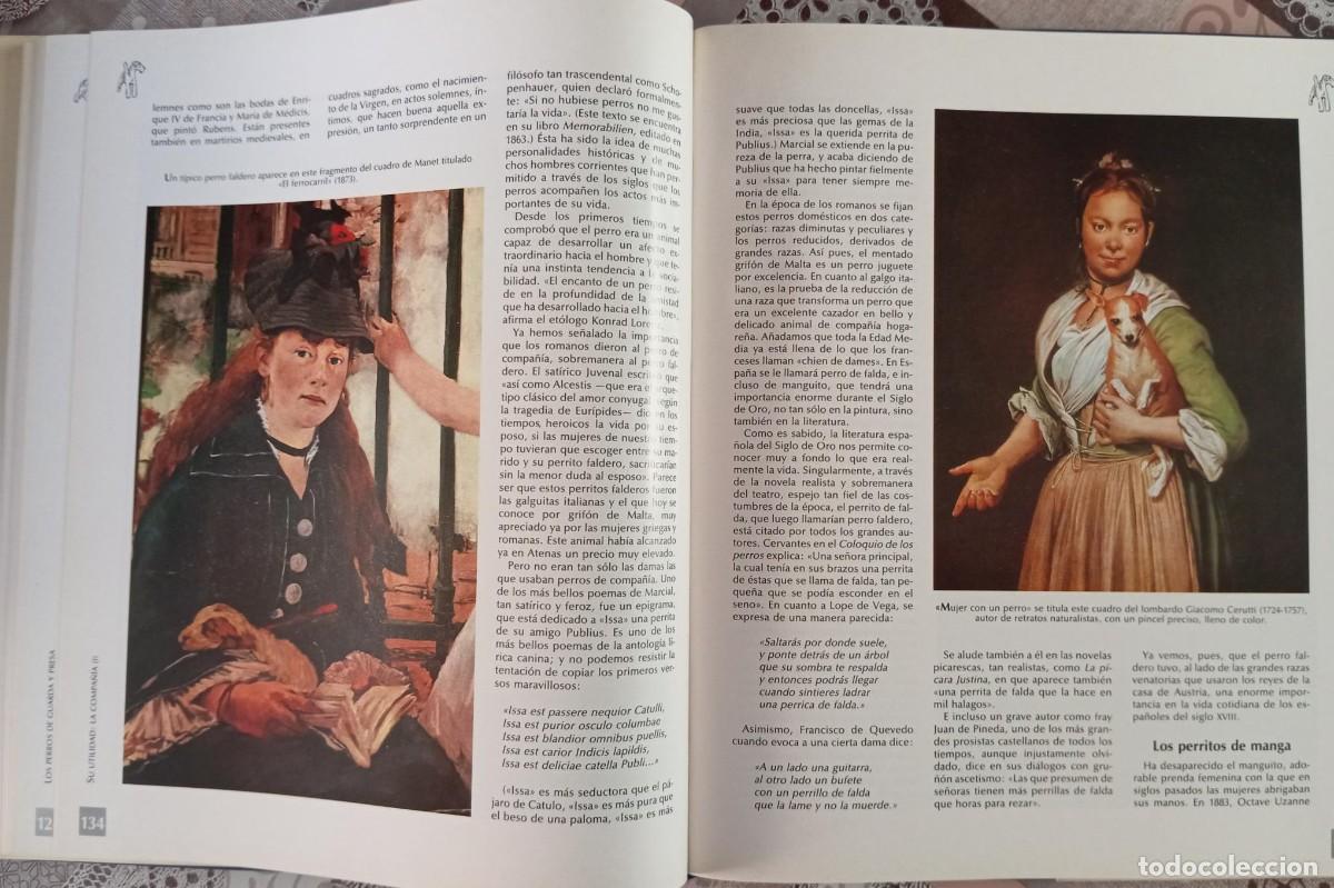 Libros de segunda mano: HISTORIA DEL PERRO Y DEL GATO - NESTOR LUJAN - Foto 4