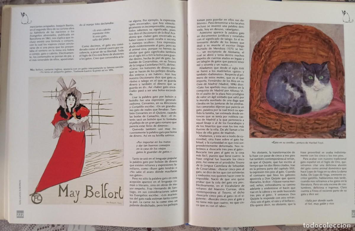 Libros de segunda mano: HISTORIA DEL PERRO Y DEL GATO - NESTOR LUJAN - Foto 5