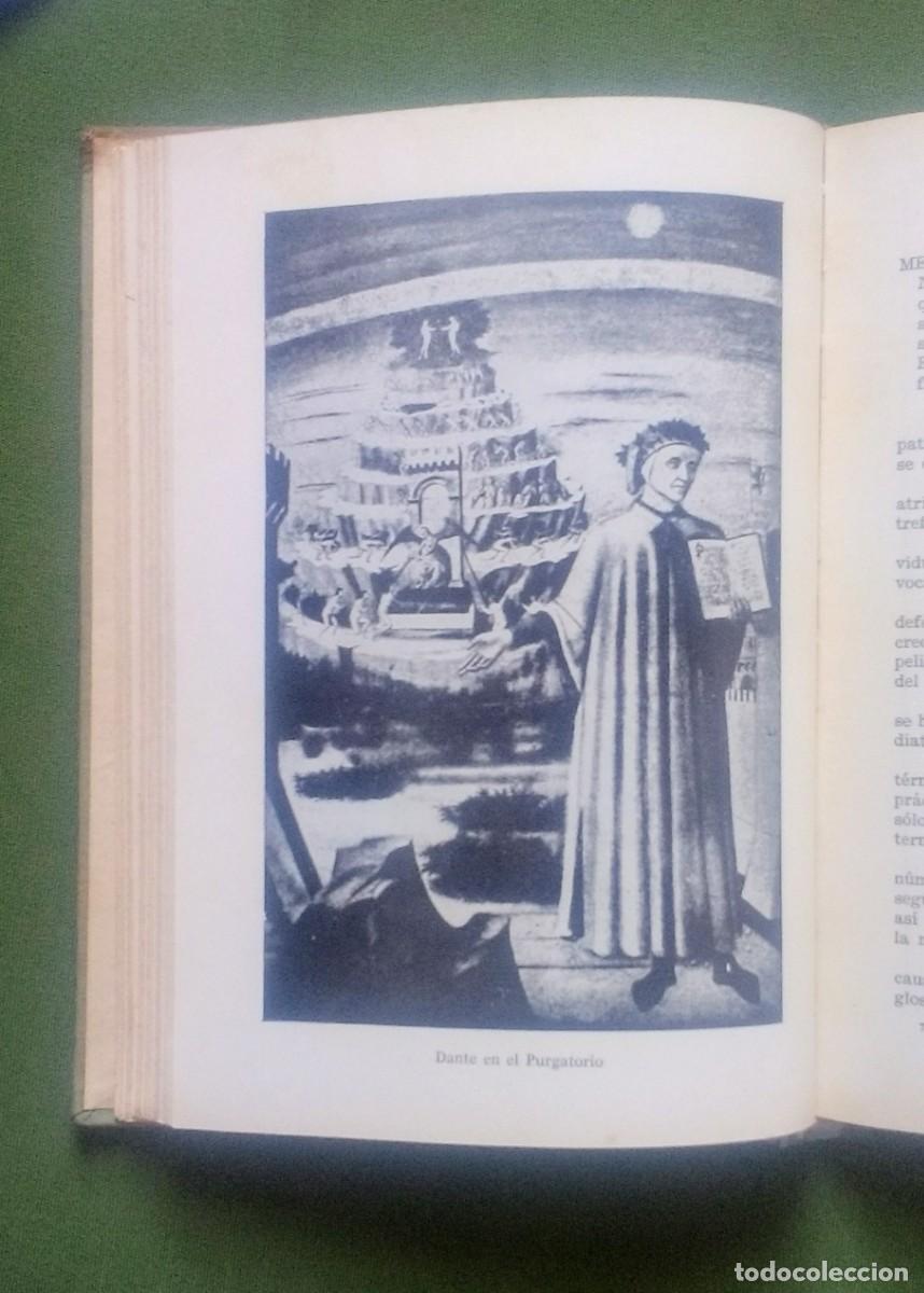 Libros de segunda mano: DEMONIOS, BRUJAS Y CURANDEROS - ADALBERTO PAZZINI - 1&ordf; ed. 1961.. - Foto 5