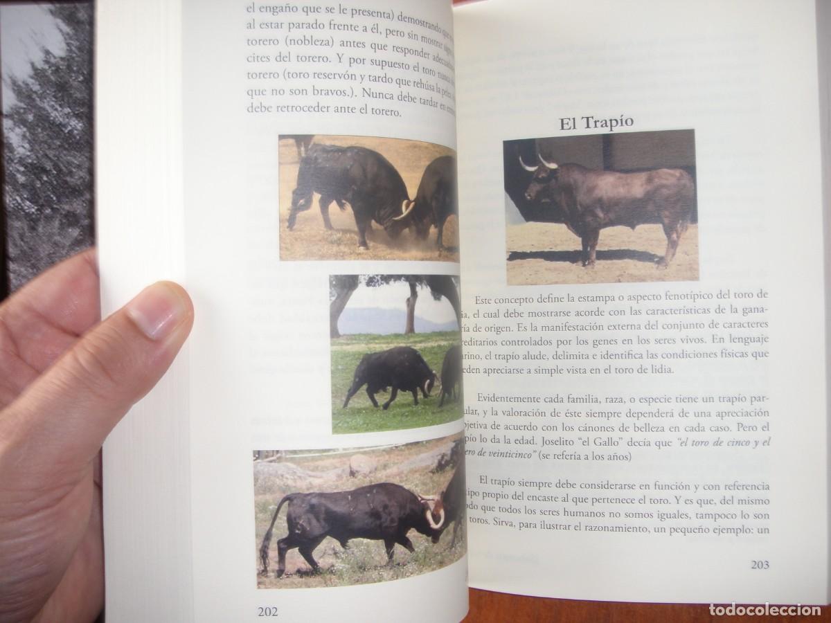Libros de segunda mano: &iquest;SABEMOS DE TOROS? LIBRO TAURINO - Foto 11