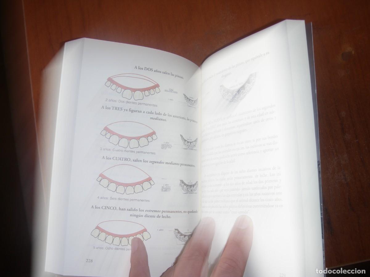Libros de segunda mano: &iquest;SABEMOS DE TOROS? LIBRO TAURINO - Foto 12