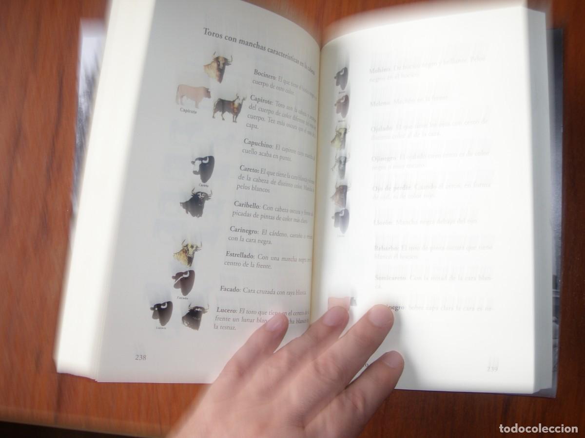 Libros de segunda mano: &iquest;SABEMOS DE TOROS? LIBRO TAURINO - Foto 15