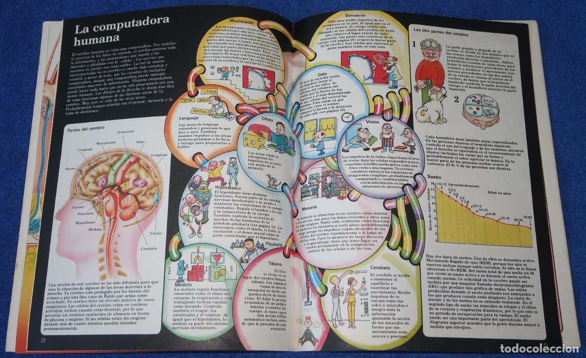 Libros de segunda mano: El libro del cuerpo humano - El joven cient&iacute;fico - PLESA - Ediciones SM (1985) - Foto 6