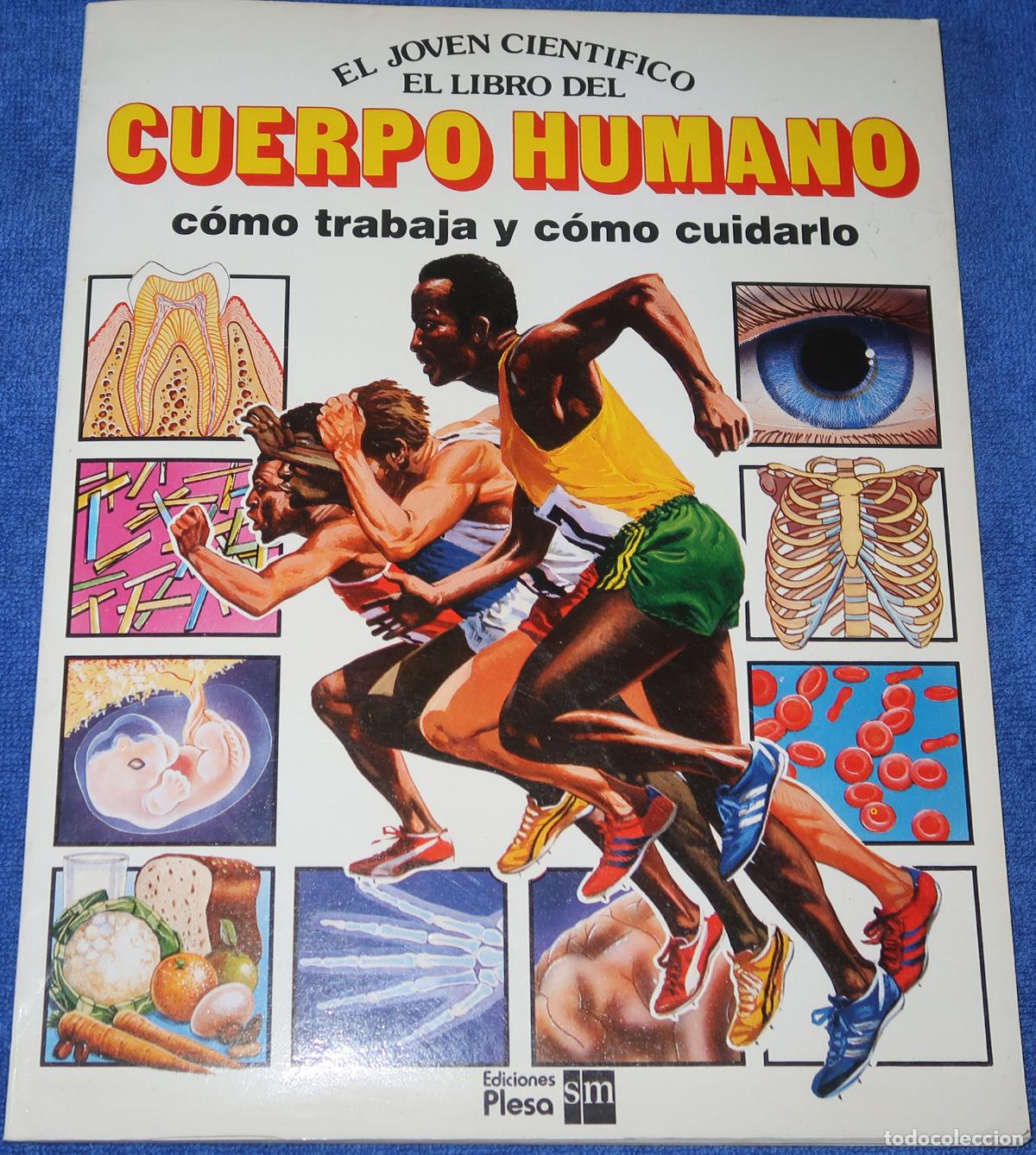Libros de segunda mano: El libro del cuerpo humano - El joven cient&iacute;fico - PLESA - Ediciones SM (1985) - Foto 1
