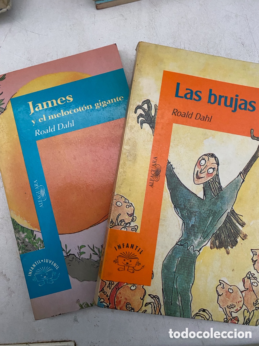 Libros de segunda mano: 2 libros de Roald Dhal - Foto 1