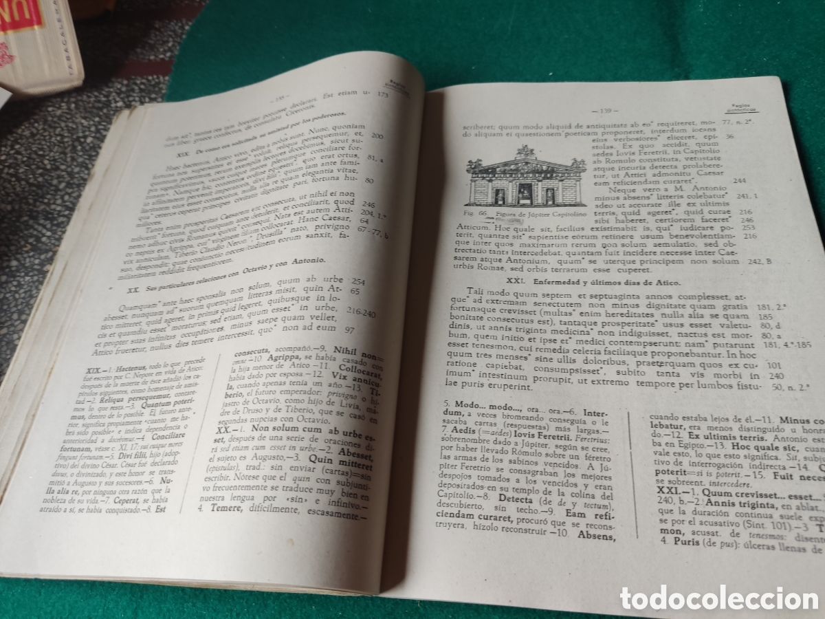Libros de segunda mano: Libro antolog&iacute;a Latina de Bartolom&eacute; Bosch y Sanso - Foto 7