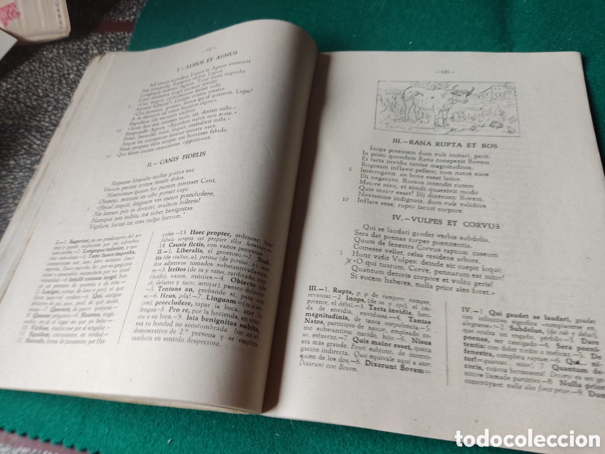 Libros de segunda mano: Libro antolog&iacute;a Latina de Bartolom&eacute; Bosch y Sanso - Foto 8
