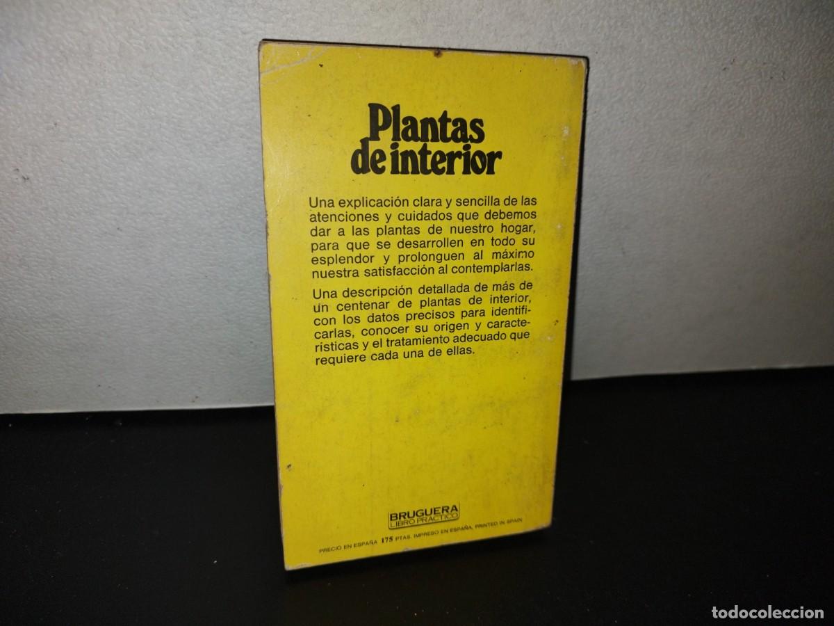Libros de segunda mano: 105- PLANTAS DE INTERIOR - FRANCESC SOLER Y JOAN DEDEU - BRUGUERA LIBRO PR&Aacute;CTICO - 2A. ED. 1981 - Foto 3
