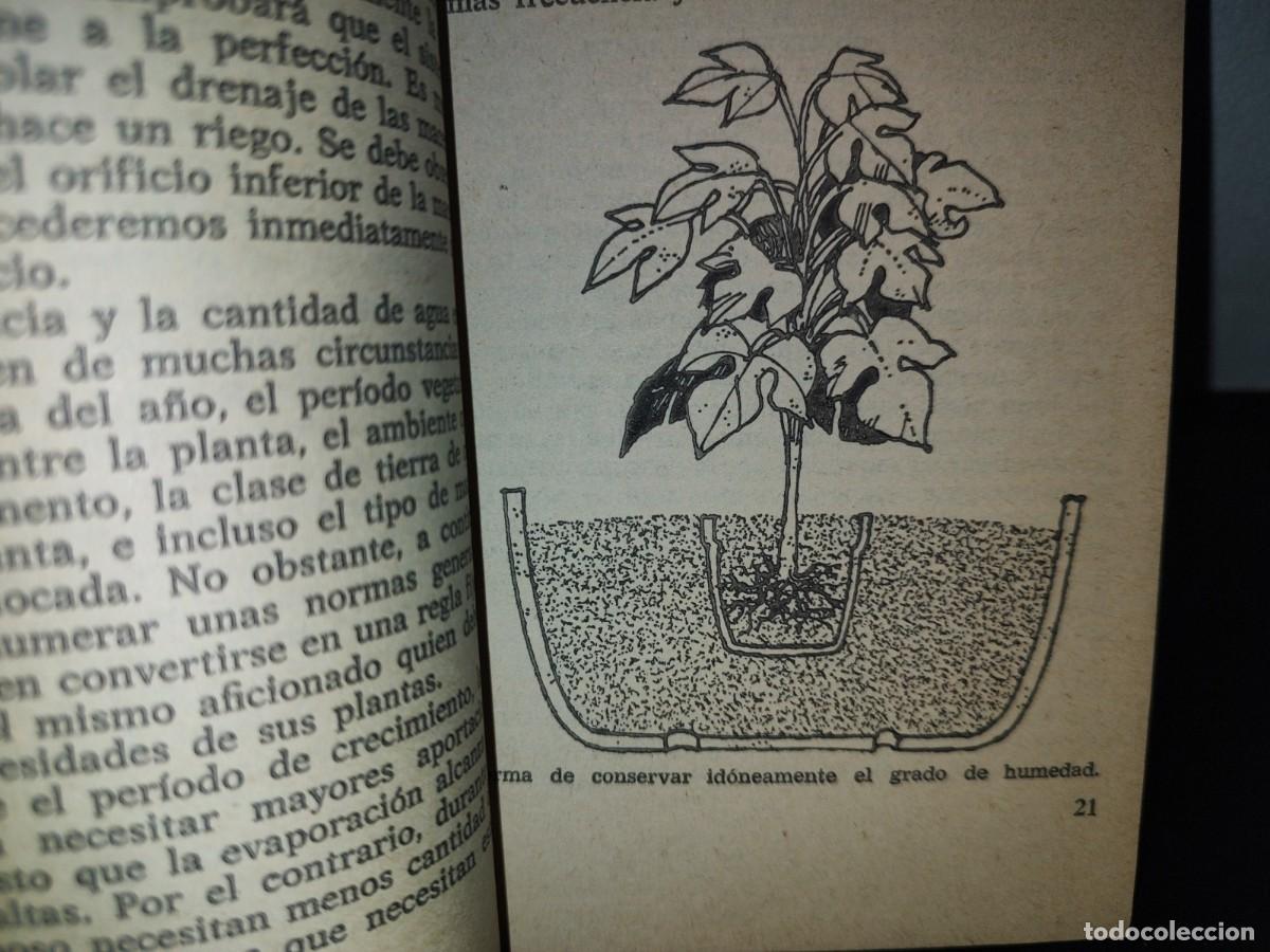 Libros de segunda mano: 105- PLANTAS DE INTERIOR - FRANCESC SOLER Y JOAN DEDEU - BRUGUERA LIBRO PR&Aacute;CTICO - 2A. ED. 1981 - Foto 6