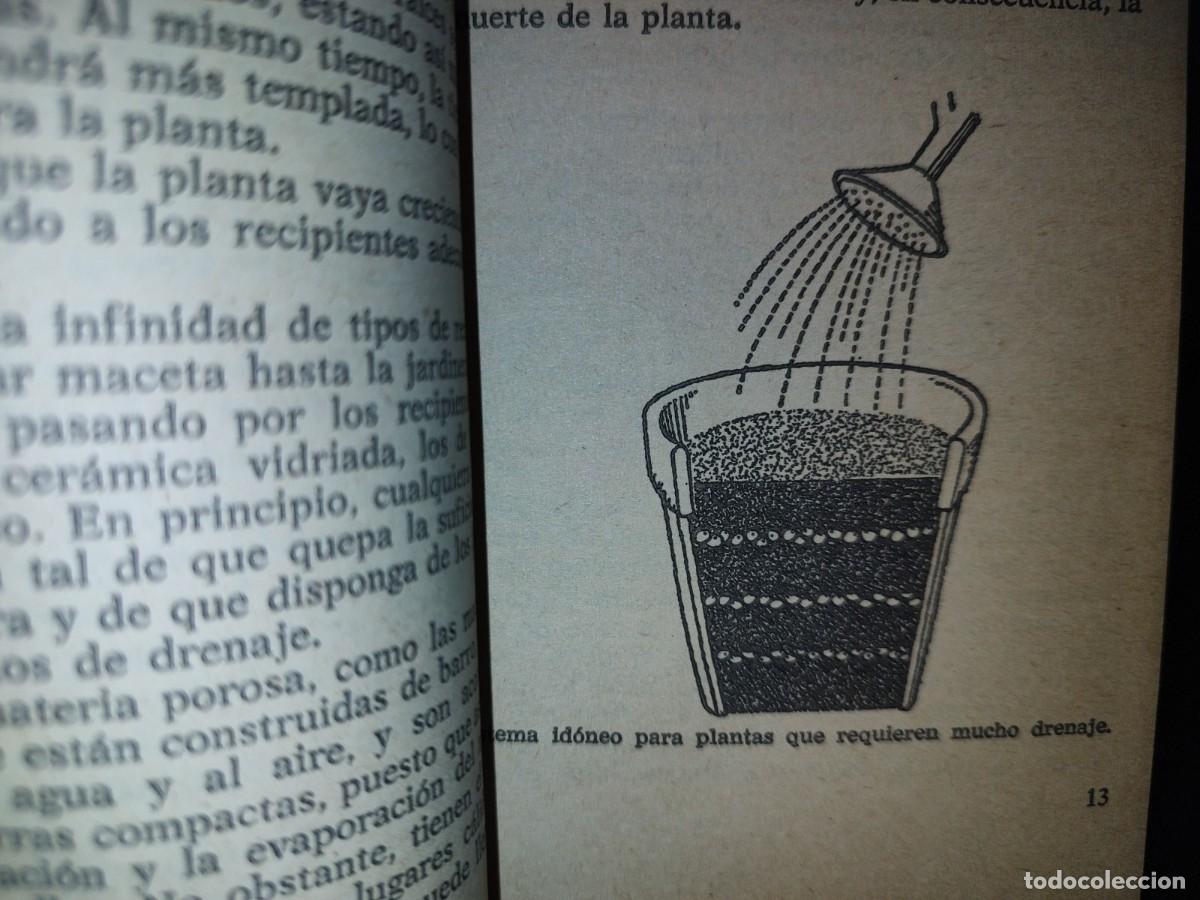 Libros de segunda mano: 105- PLANTAS DE INTERIOR - FRANCESC SOLER Y JOAN DEDEU - BRUGUERA LIBRO PR&Aacute;CTICO - 2A. ED. 1981 - Foto 7