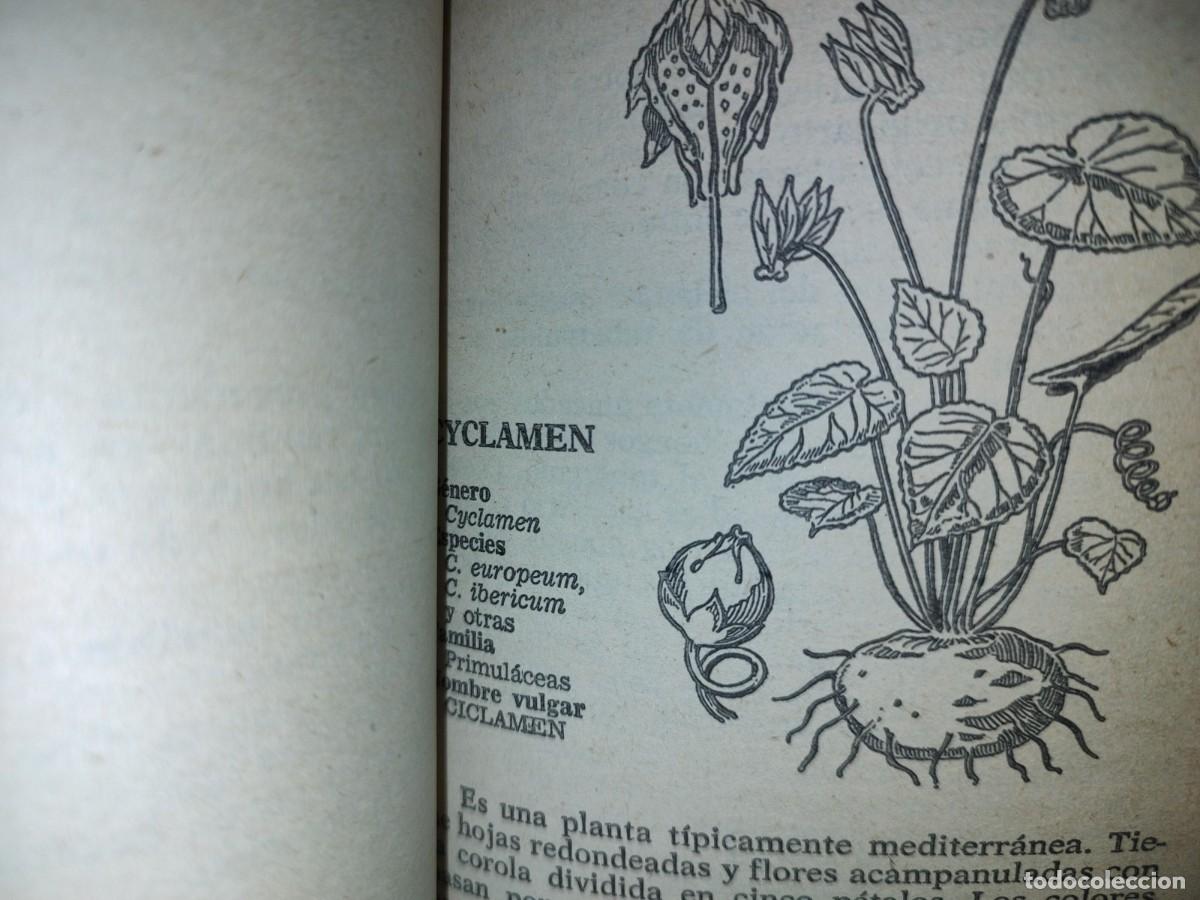 Libros de segunda mano: 105- PLANTAS DE INTERIOR - FRANCESC SOLER Y JOAN DEDEU - BRUGUERA LIBRO PR&Aacute;CTICO - 2A. ED. 1981 - Foto 9