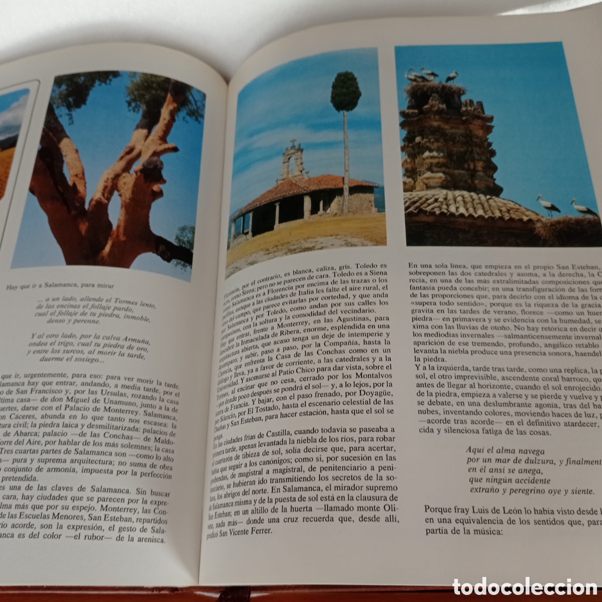 Libros de segunda mano: Antolog&iacute;a de Espa&ntilde;a,Gran formato,a&ntilde;o 1982 - Foto 3