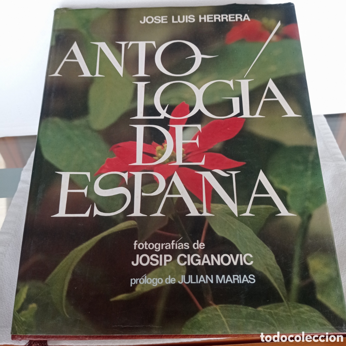 Libros de segunda mano: Antolog&iacute;a de Espa&ntilde;a,Gran formato,a&ntilde;o 1982 - Foto 1