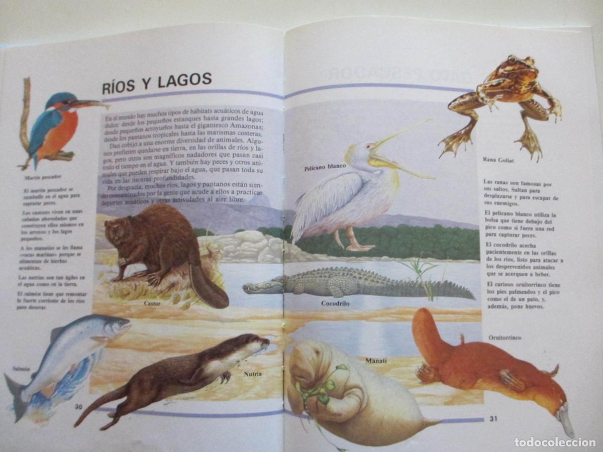 Libros de segunda mano: El mundo de los animales - Mark Carwardine - Foto 2