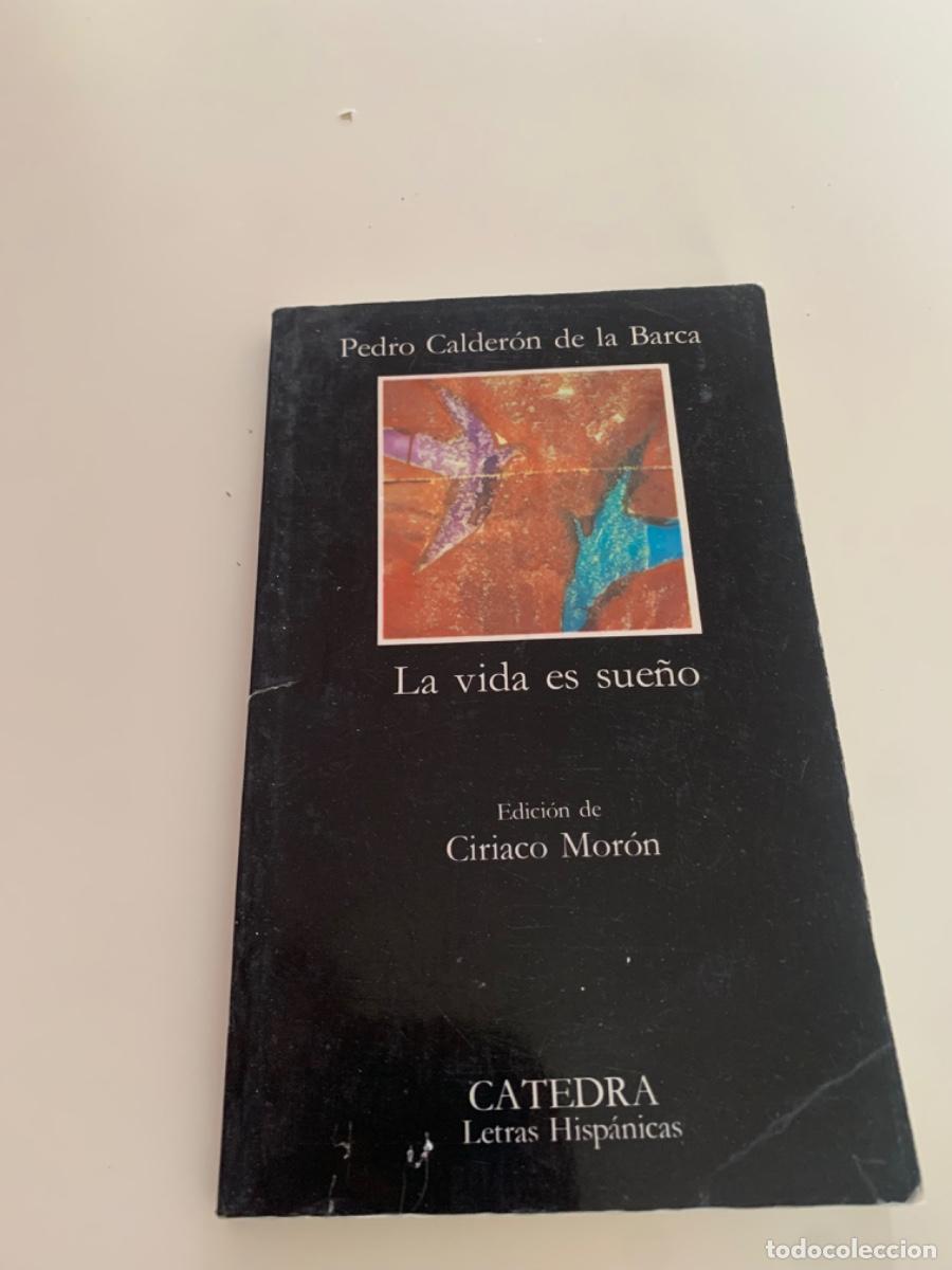 Libros de segunda mano: LA VIDA ES SUE&Ntilde;O, PEDRO CALDER&Oacute;N DE LA BARCA, ES C&Aacute;TEDRA - Foto 1