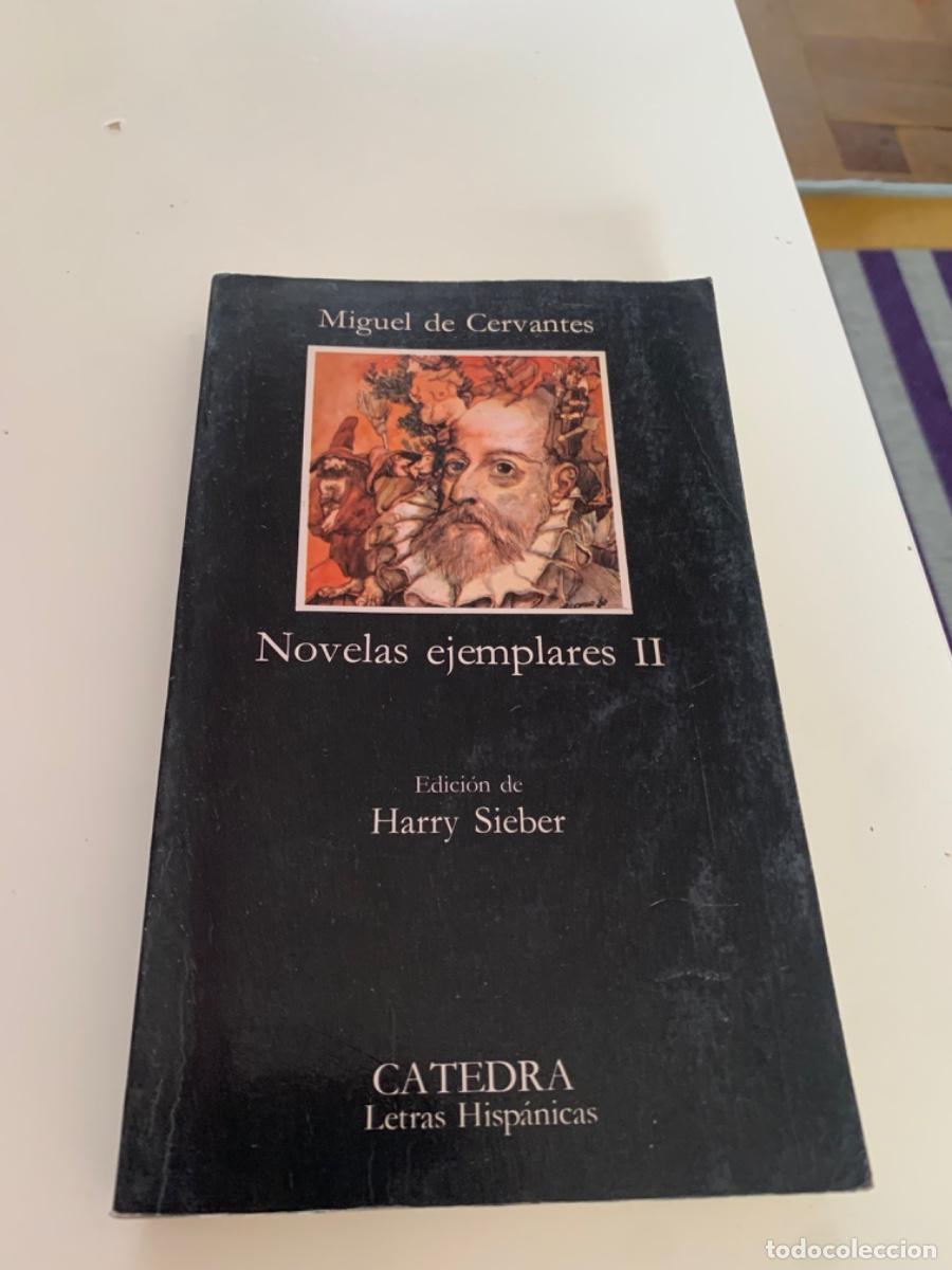 Libros de segunda mano: NOVELAS EJEMPLARES II, MIGUEL DE CERVANTES, ED C&Aacute;TEDRA - Foto 1